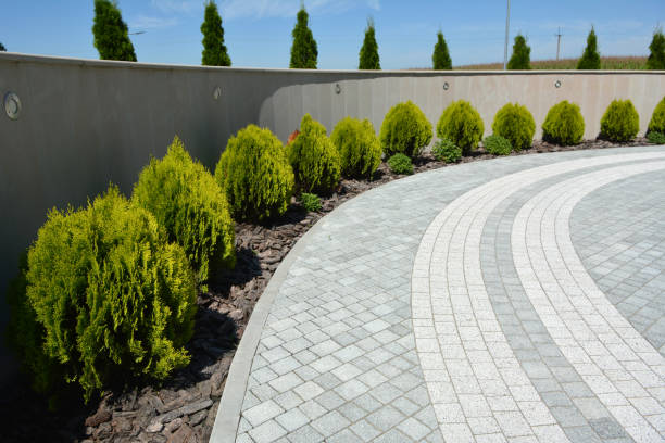 Reasons to Select Us for Your Driveway Paving Requirements in Rock Springs, WY